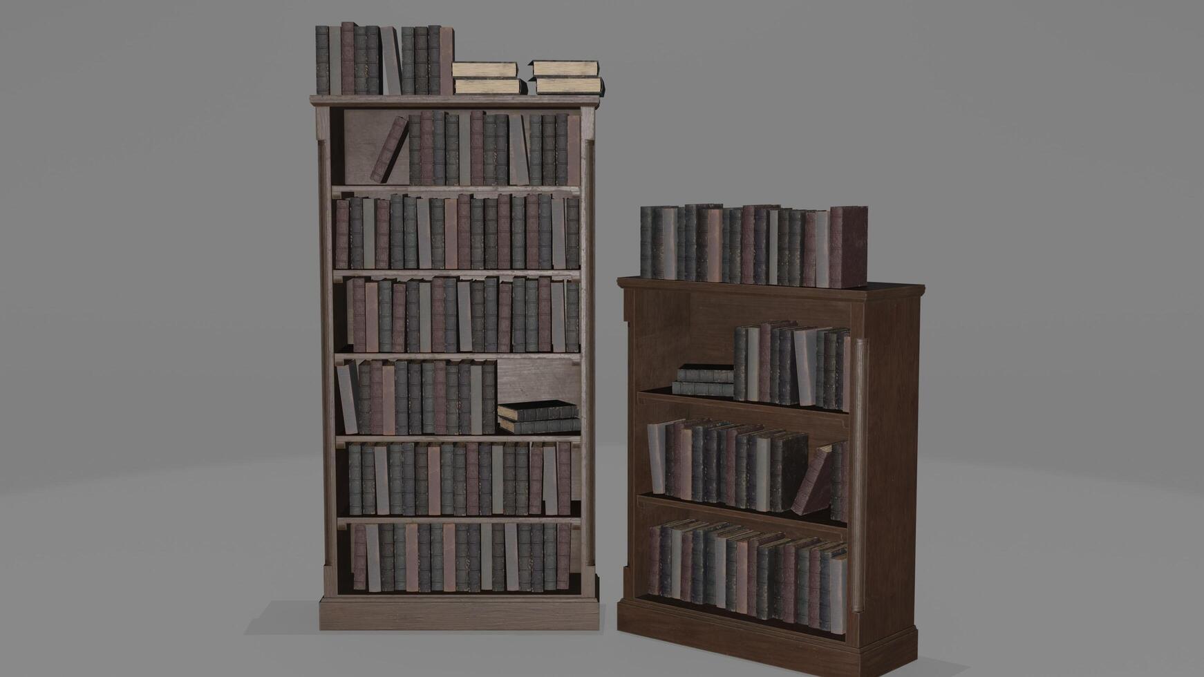 3d model of a tall bookcase with books on it photo