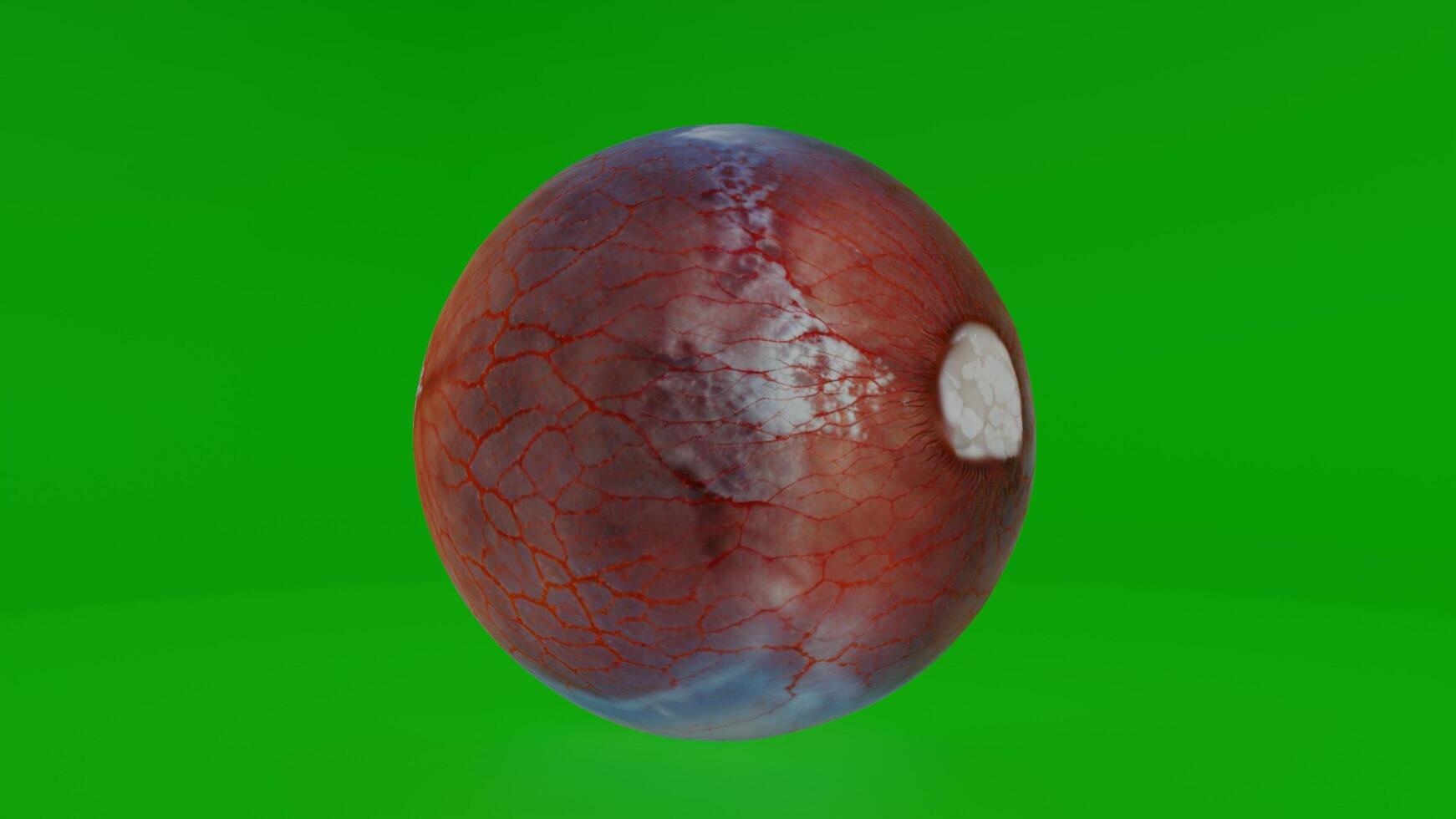A red and green ball with a white spot on it photo