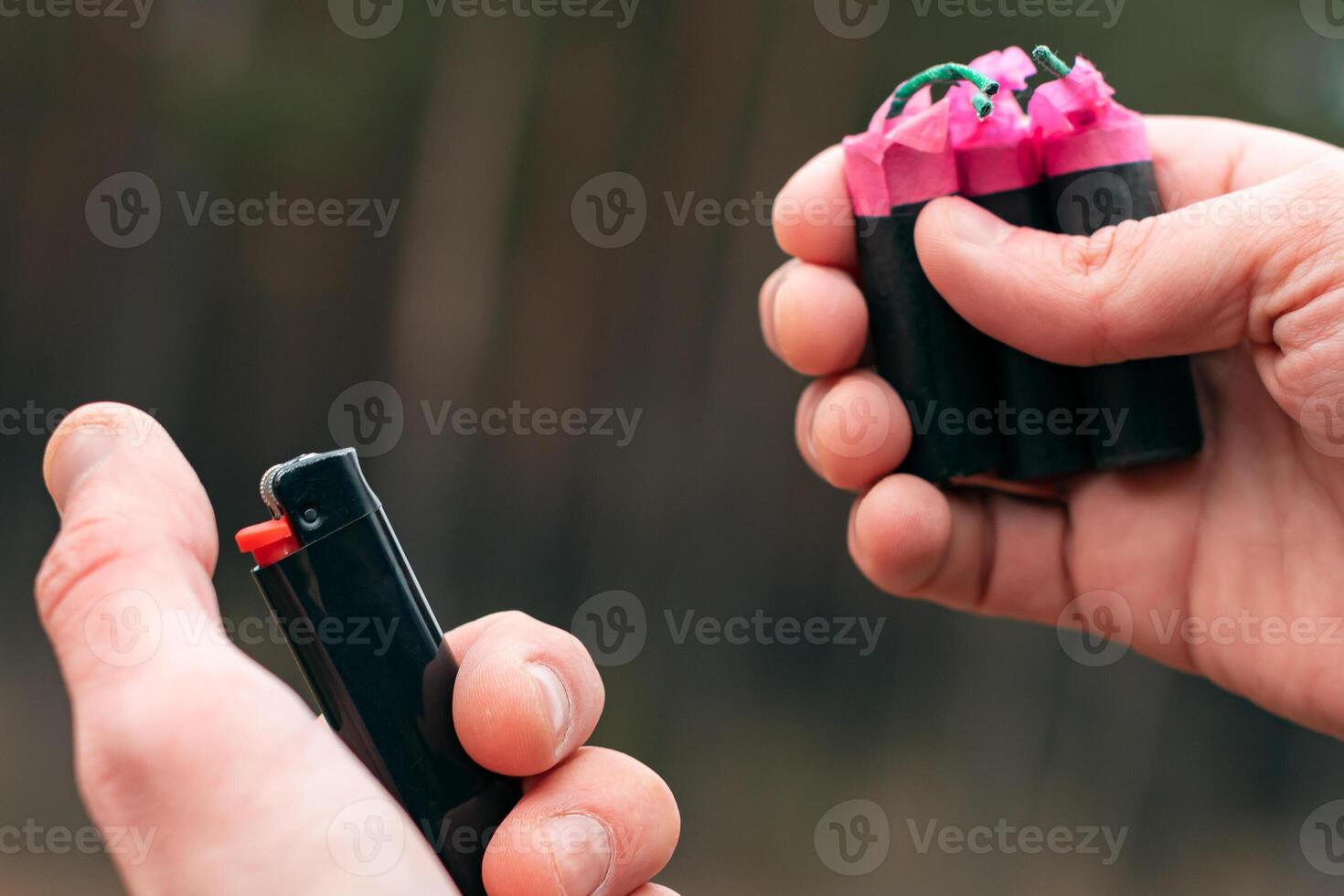Setting Fire to the Several Firecrackers. Man in Black Jacket Lighting Up Three Petards at the Same Time. Firing Up the Pyrotechnic with Black Gas Lighter Outdoors photo