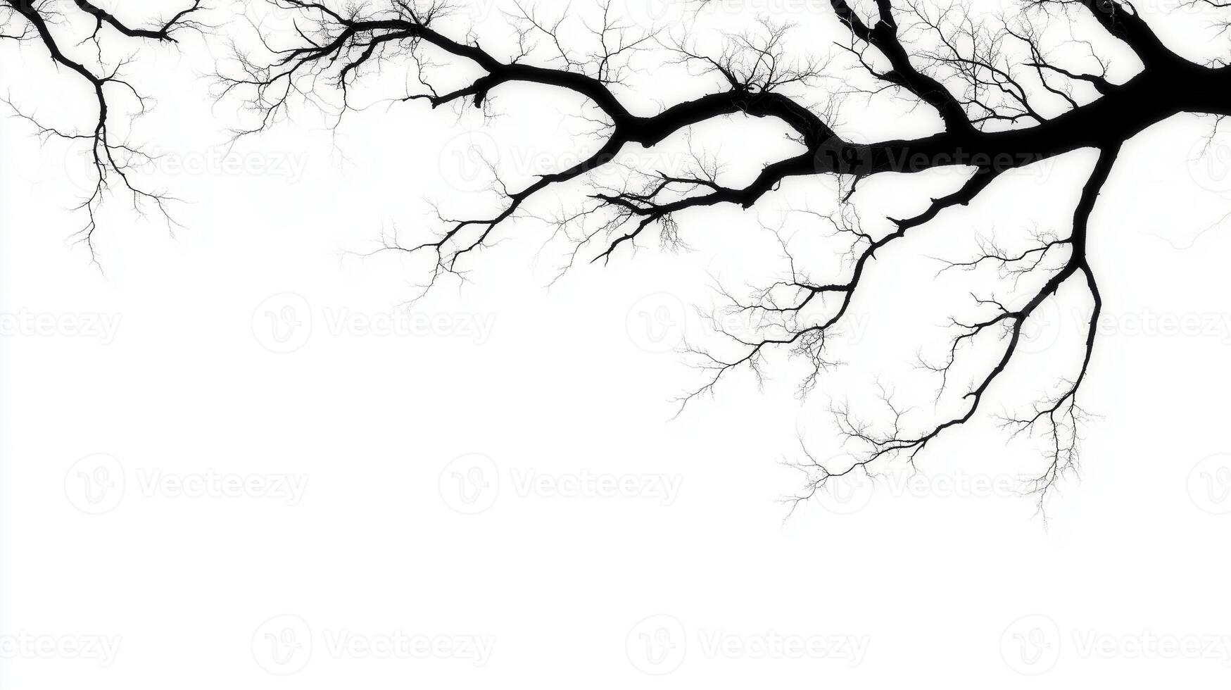 striking silhouette of bare tree branch against white background, showcasing intricate details of twigs and bark. This evokes sense of stark beauty and tranquility photo