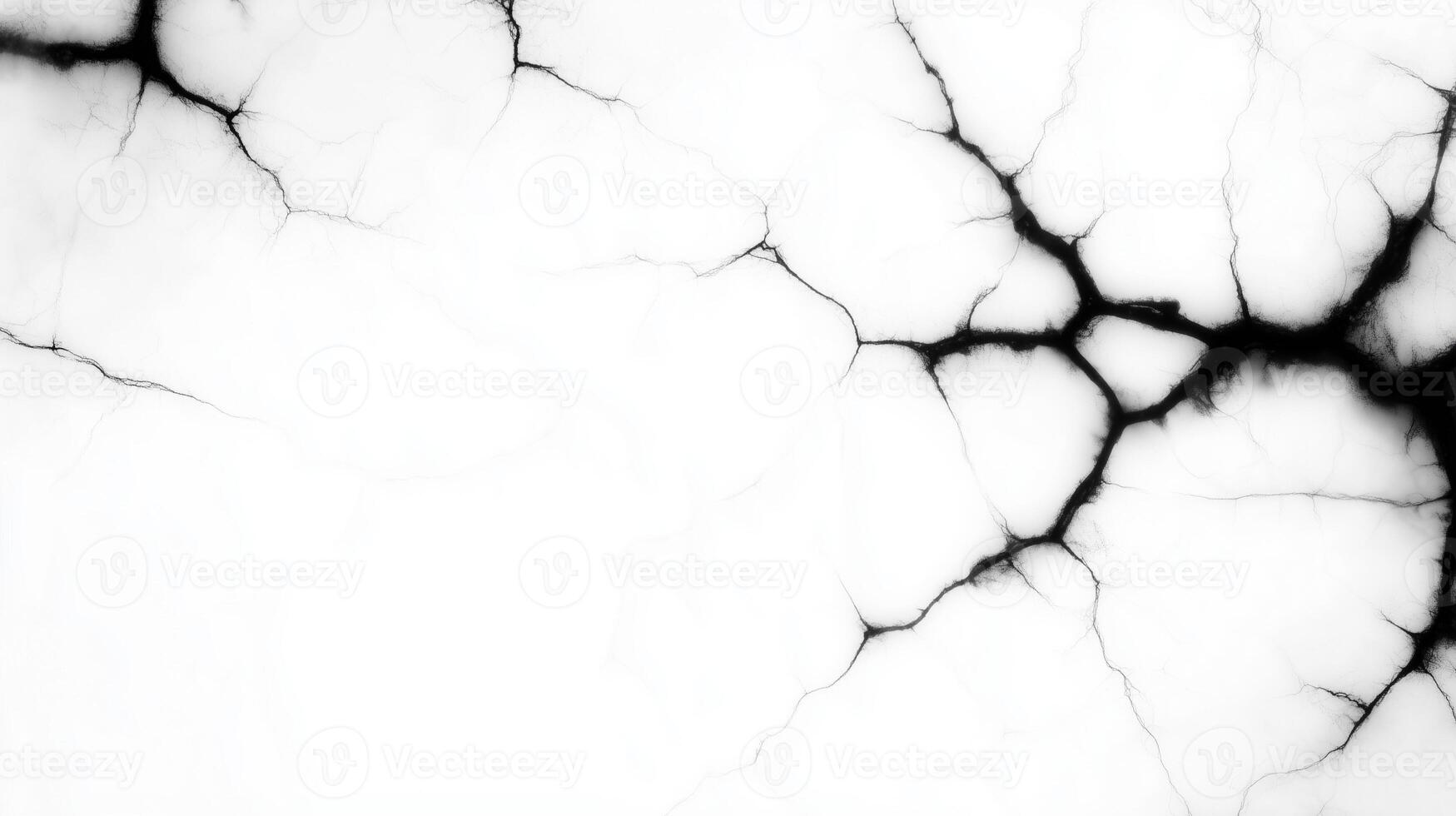 striking black and white abstract texture featuring intricate, branching patterns resembling veins or cracks. This design evokes sense of depth and complexity, perfect for various creative projects photo