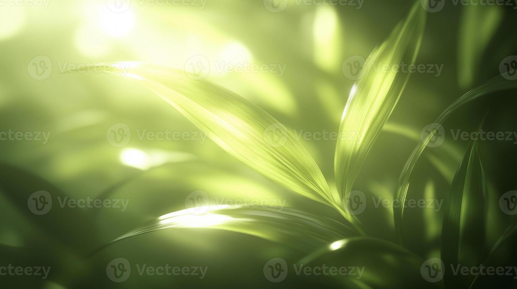 Lush green leaves glisten softly in warm light, creating serene and tranquil atmosphere. gentle play of light enhances vibrant hues of nature, inviting sense of peace photo