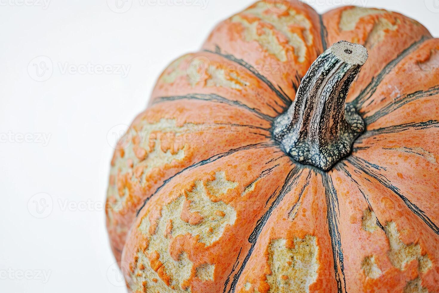 Close-up of a Speckled Orange Pumpkin with a Stem photo