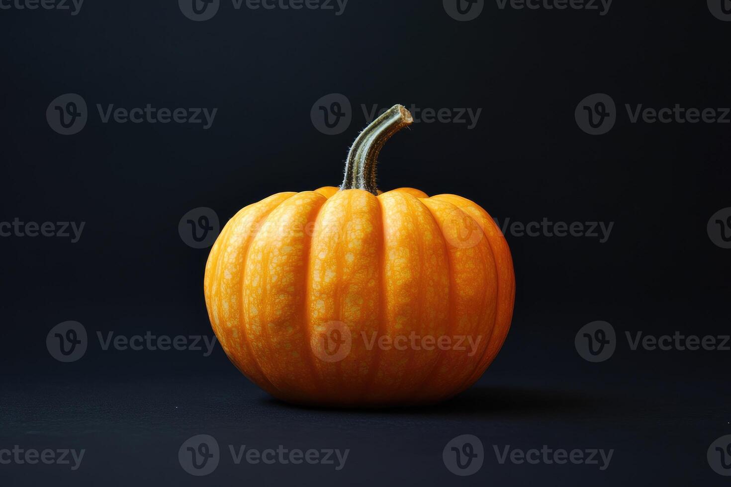 A Single Orange Pumpkin on a Black Background photo