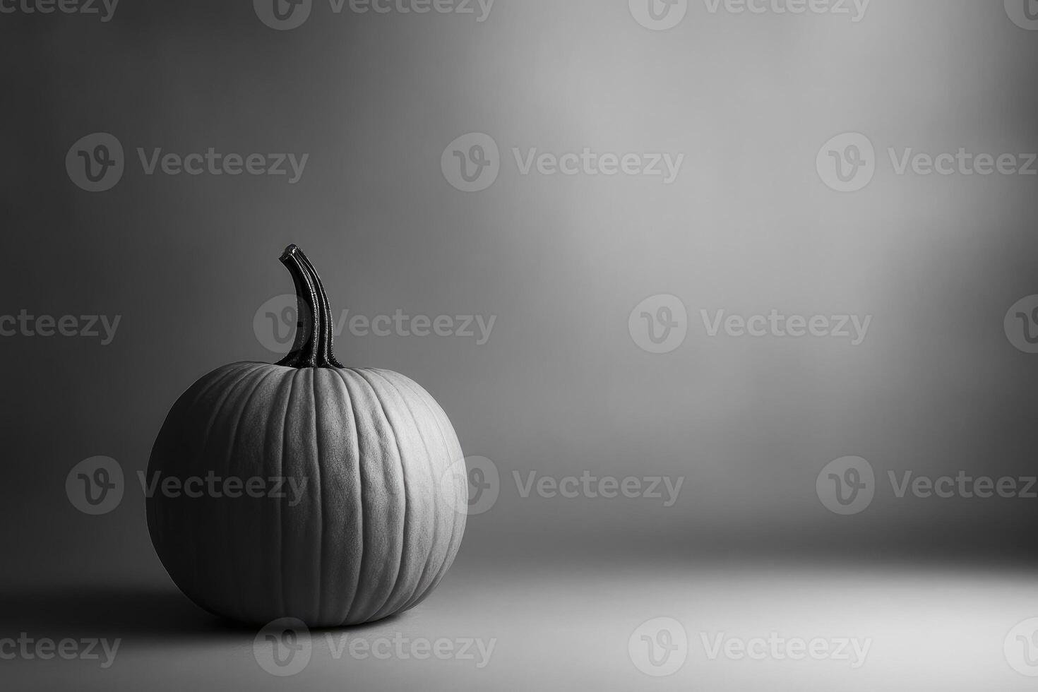 A Single, Gray-Scale Pumpkin on a Smooth, Gray Surface photo