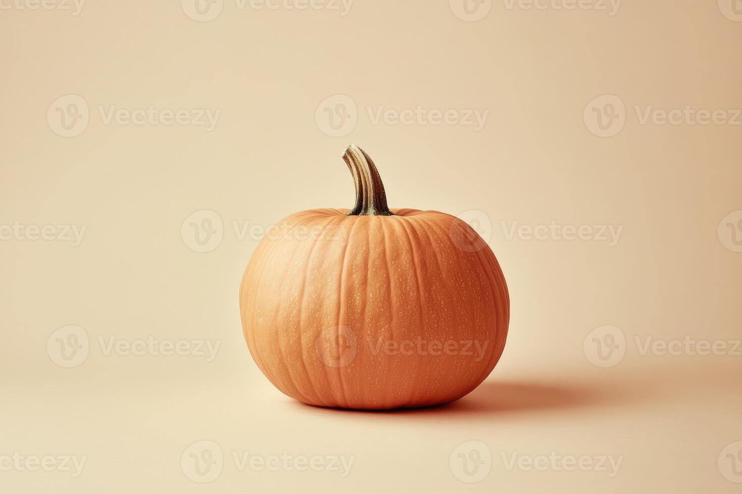 A Single Orange Pumpkin on a Light Beige Background photo