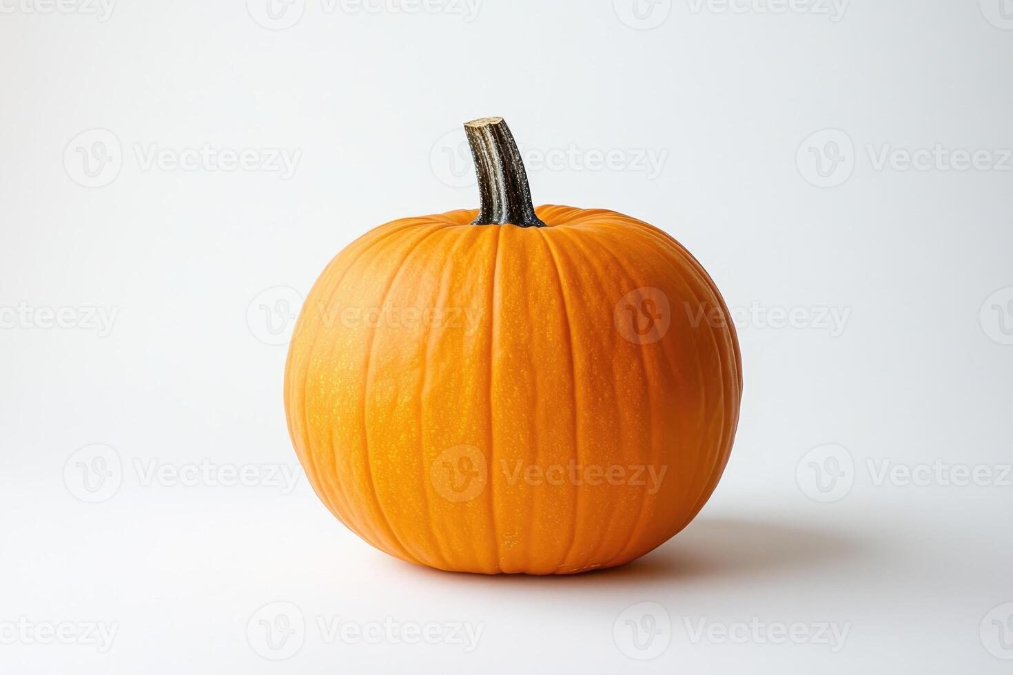 A Single Orange Pumpkin with a Brown Stem photo