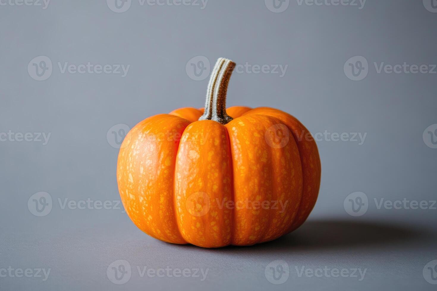 Single Orange Pumpkin with Green Stem on Grey Background photo