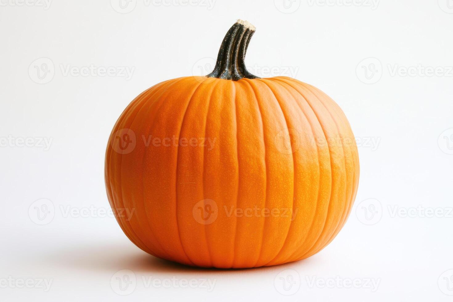 A Single Orange Pumpkin with a Dark Stem on a White Background photo