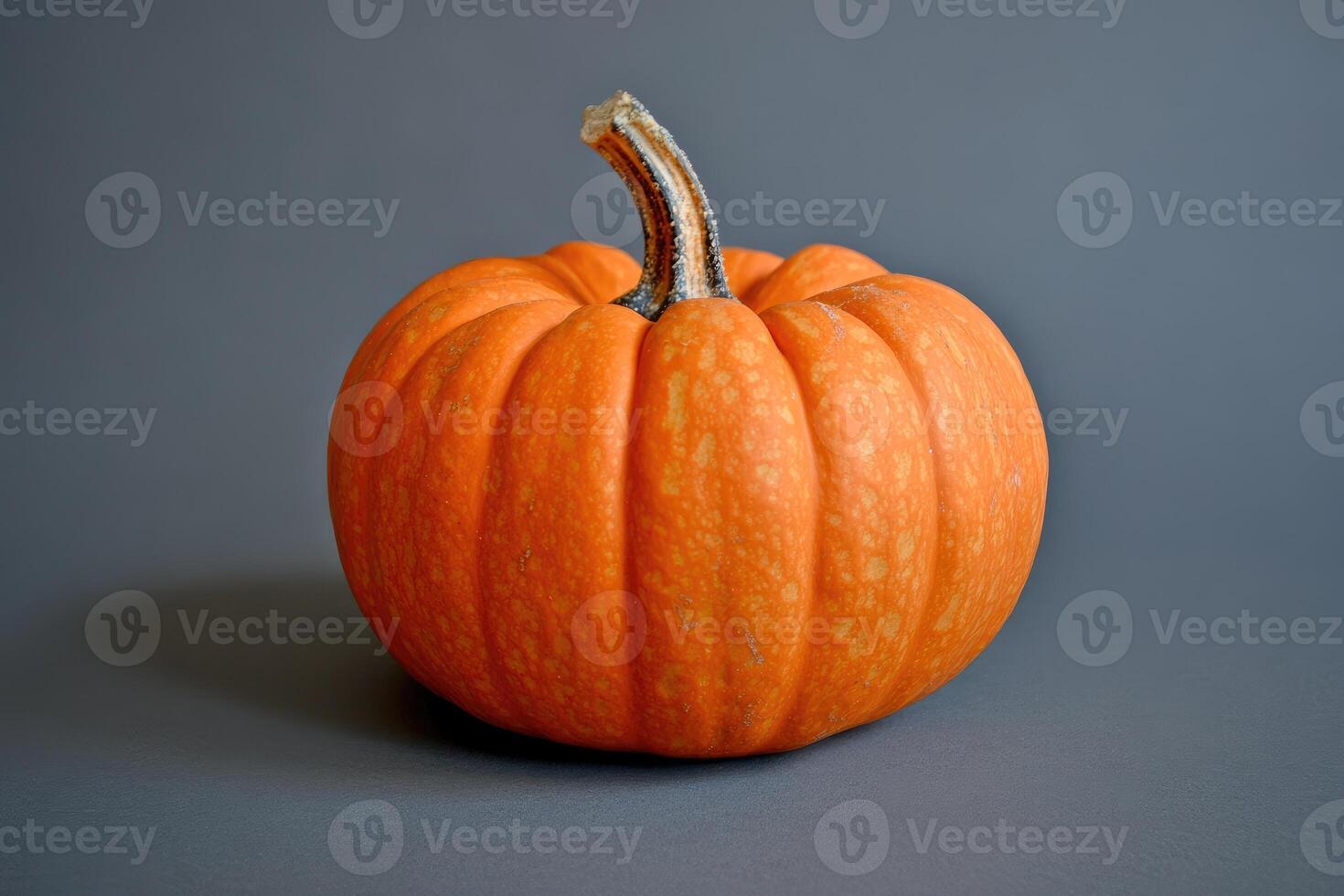 A Single Orange Pumpkin on a Grey Background photo