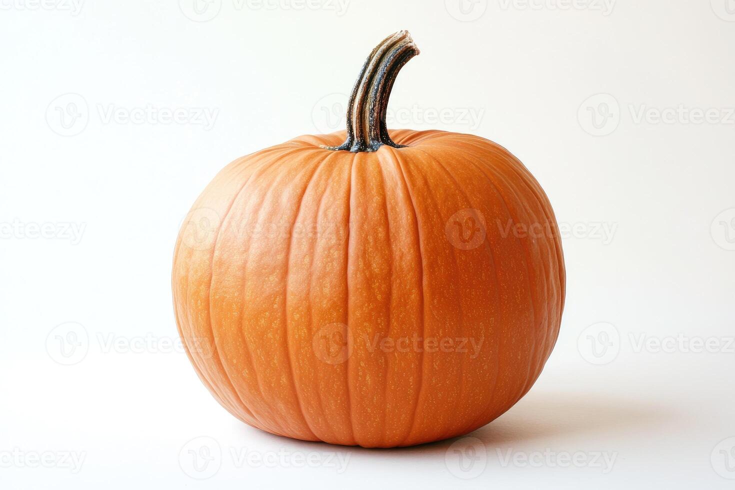 A Single Orange Pumpkin on a White Background photo