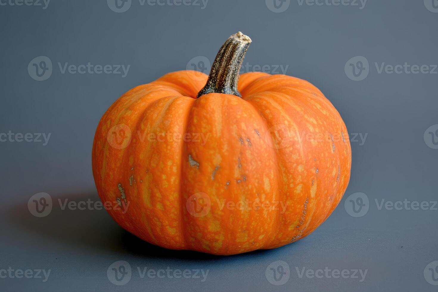 A Single Orange Pumpkin with a Brown Stem on a Gray Background photo
