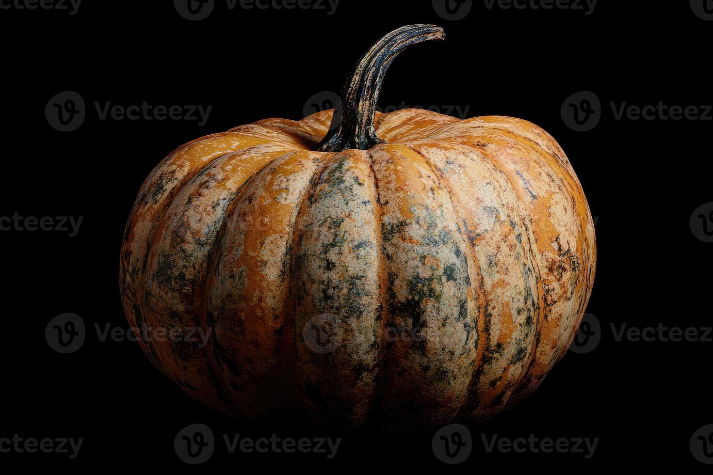 A Single Speckled Pumpkin with a Curved Stem photo