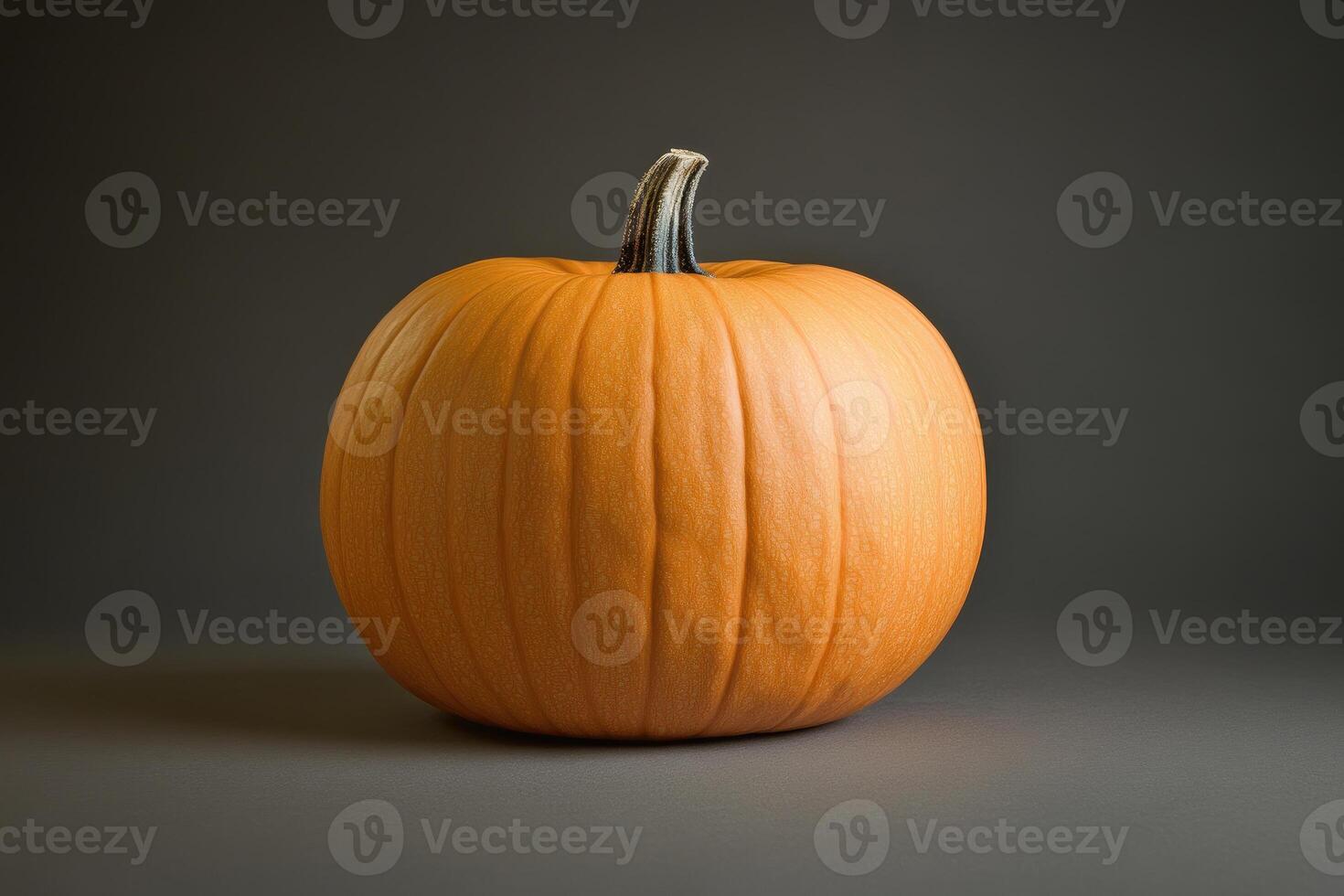 A Single, Ripe Orange Pumpkin on a Gray Background photo