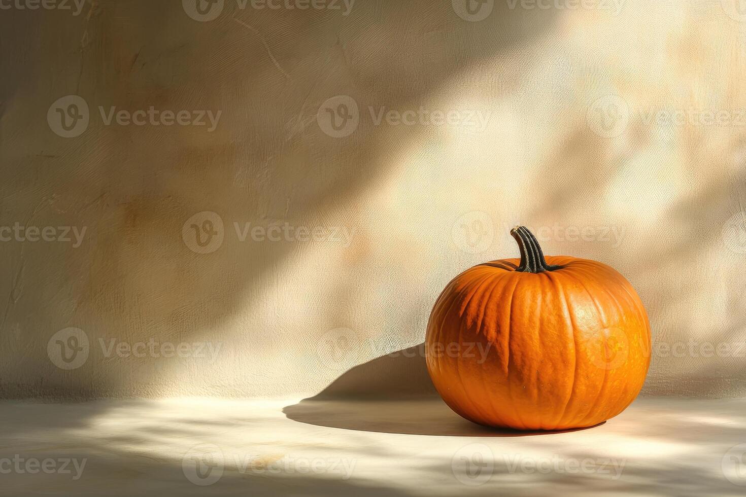 A Single Pumpkin Rests on a White Surface with Light Streaming In photo
