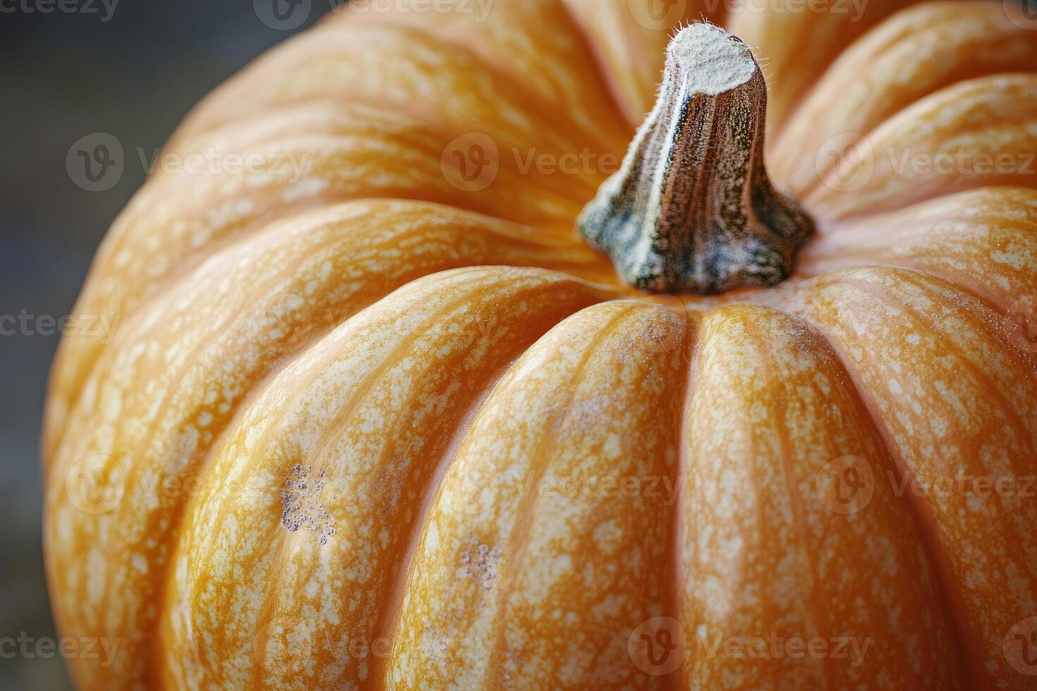 Close-up of a Ripe Orange Pumpkin with Visible Texture and Stem photo