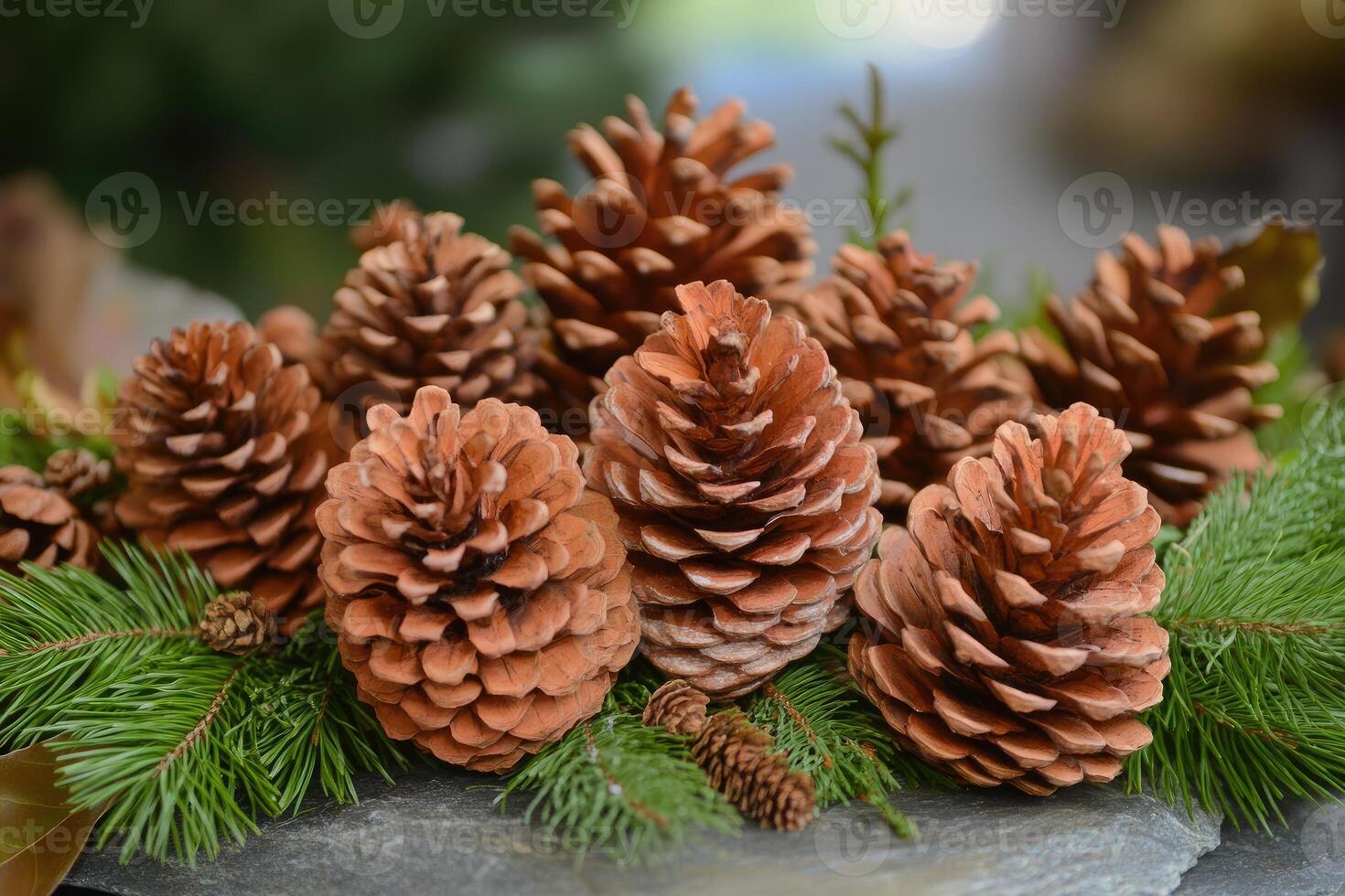 A Close-Up of Pine Cones and Evergreen Branches on a Slate Surface photo