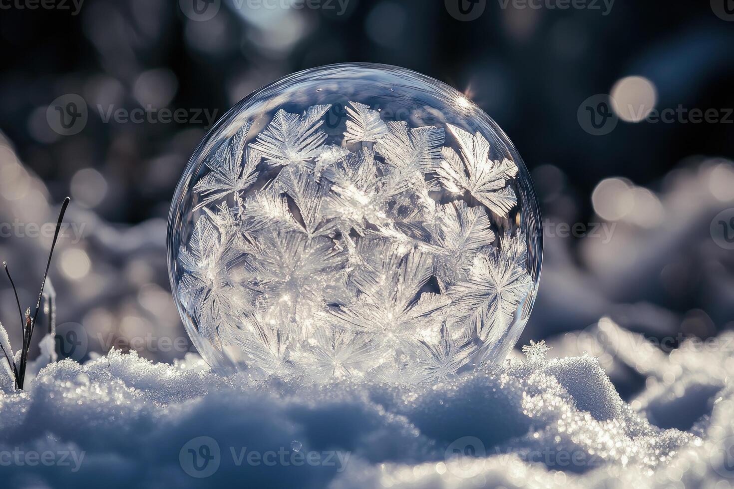 A Frozen Bubble Filled with Delicate Crystal Patterns photo