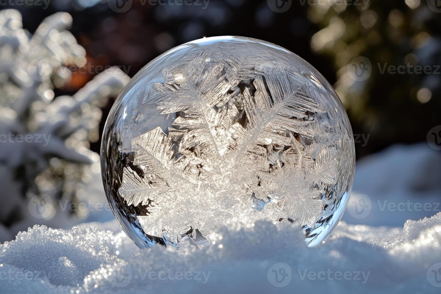 A Frozen Snowflake Encased in a Crystal Ball on a Snowy Surface photo