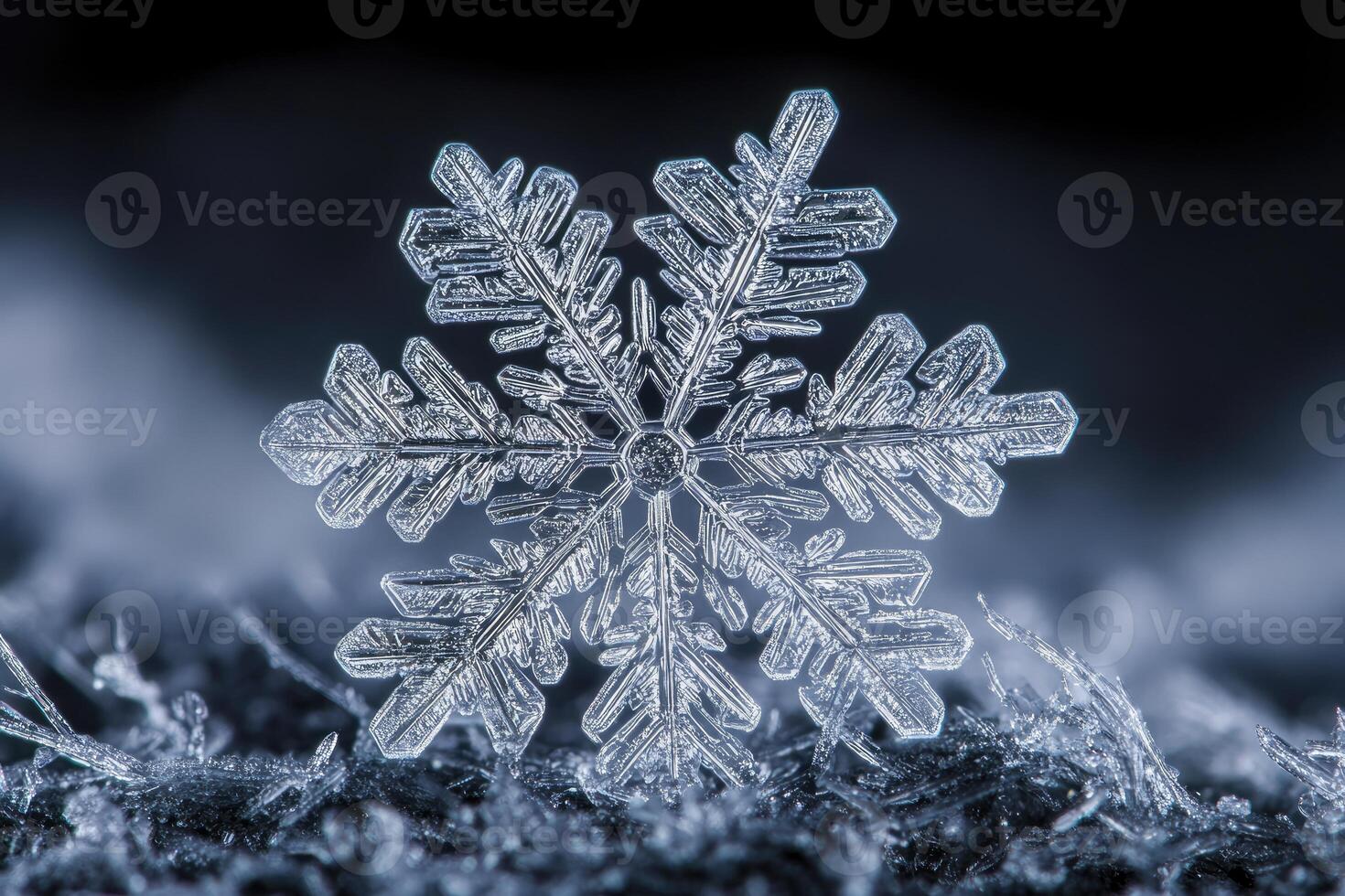 Close-up of a Single Intricate Snowflake on a Dark Background photo