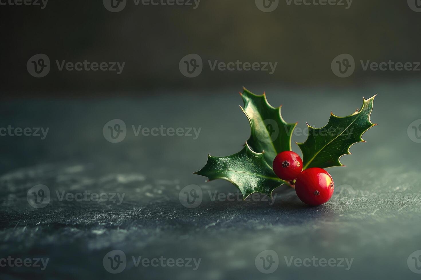 Holly Sprig with Two Red Berries on a Dark Surface photo