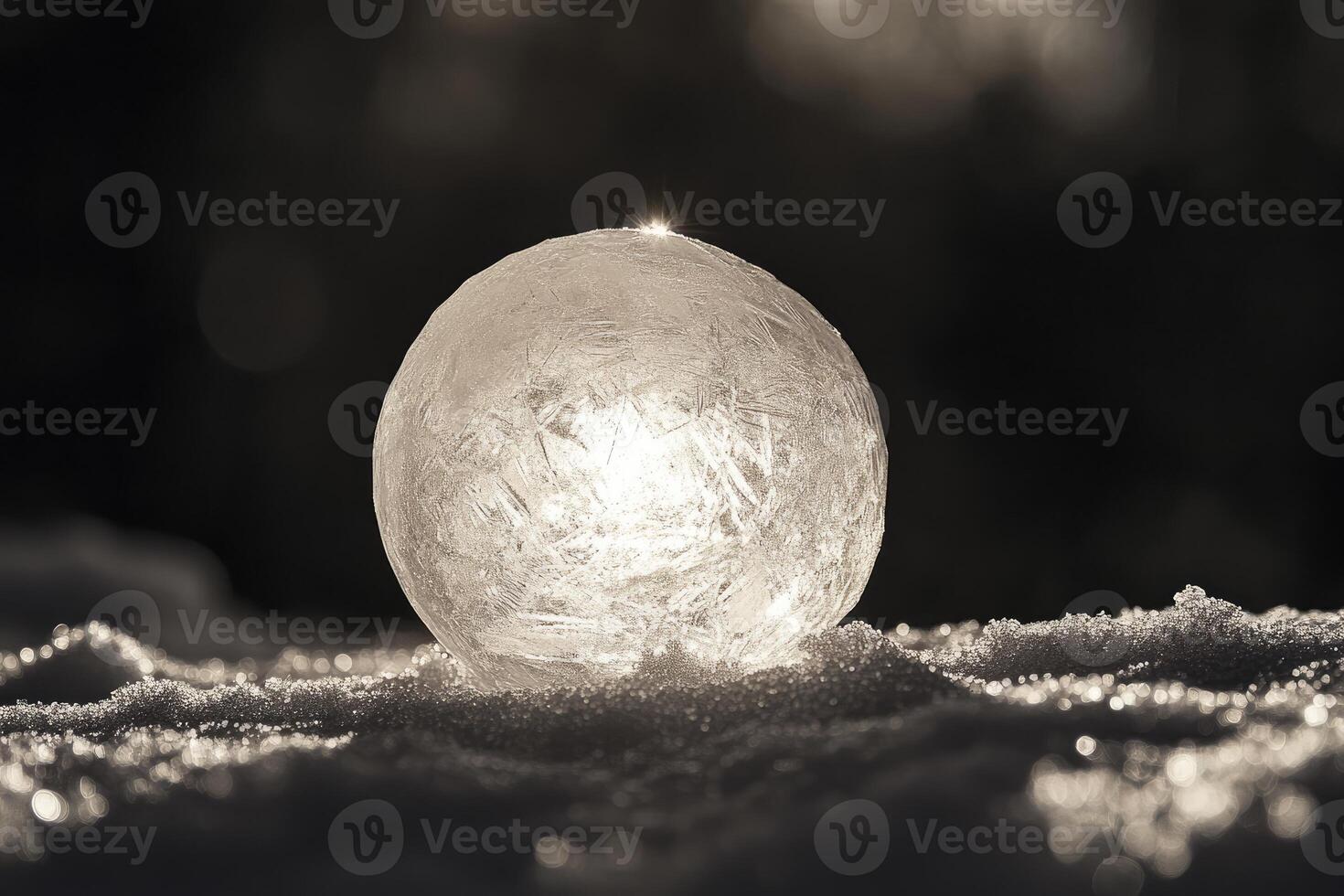 A Frozen Globe of Ice in a Snowdrift photo