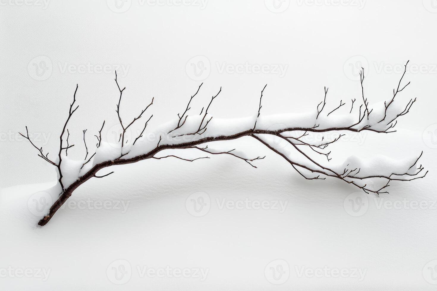 A lone branch, bare and brown, rests gracefully on a pristine white blanket of snow. photo