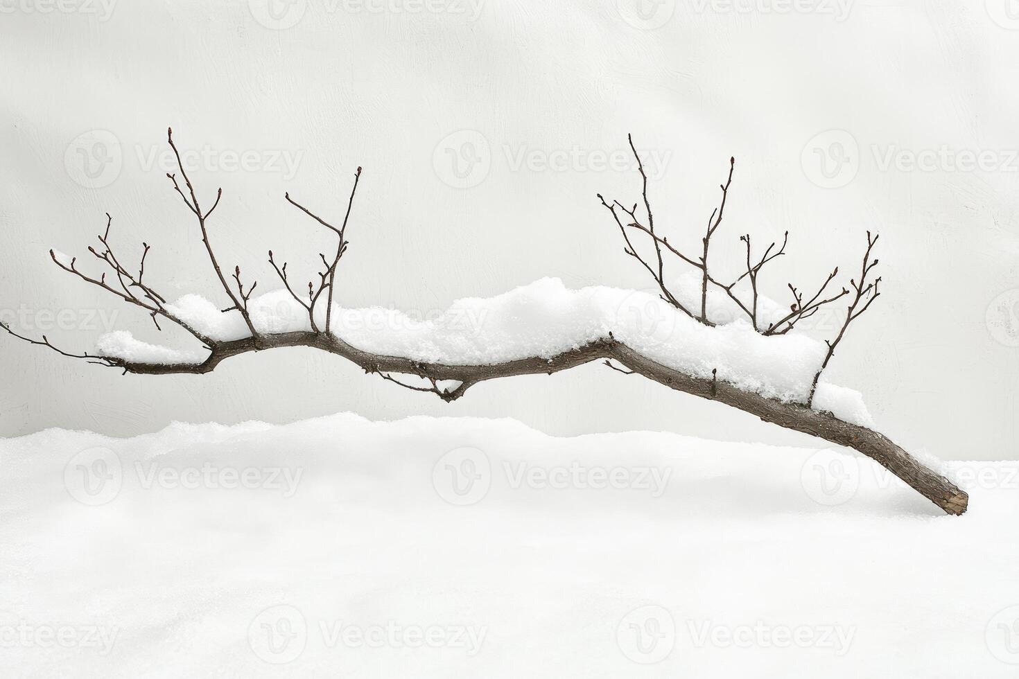A snow-covered branch with small buds in a snowy landscape photo