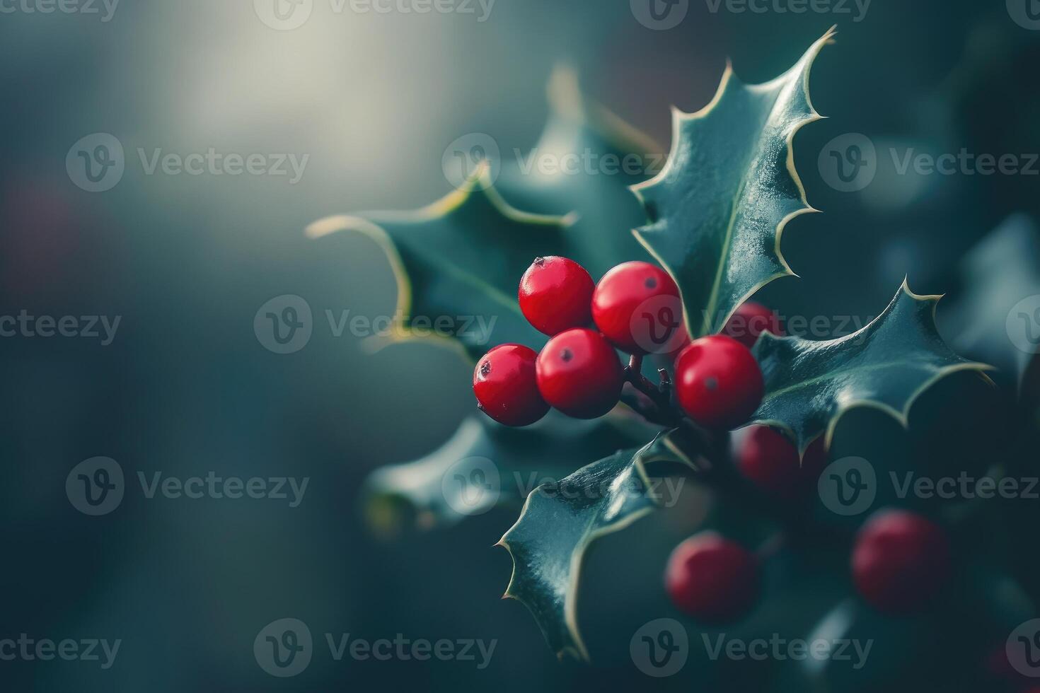 A Close-Up of Red Berries on a Holly Branch photo