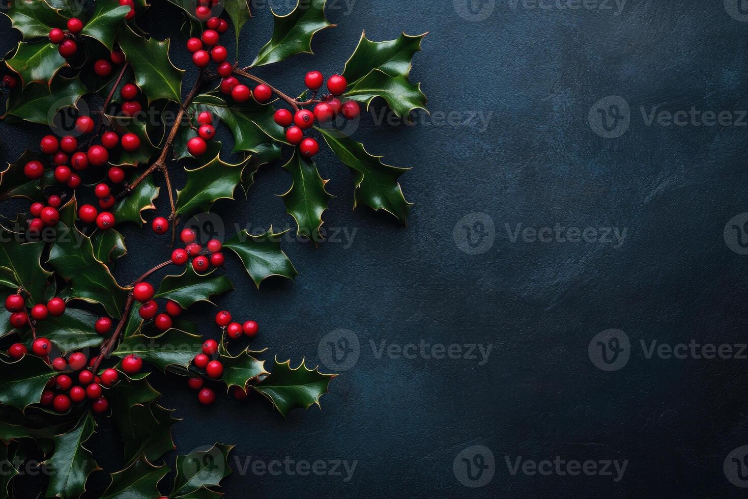 Sprigs of Holly with Red Berries on a Dark Blue Background photo