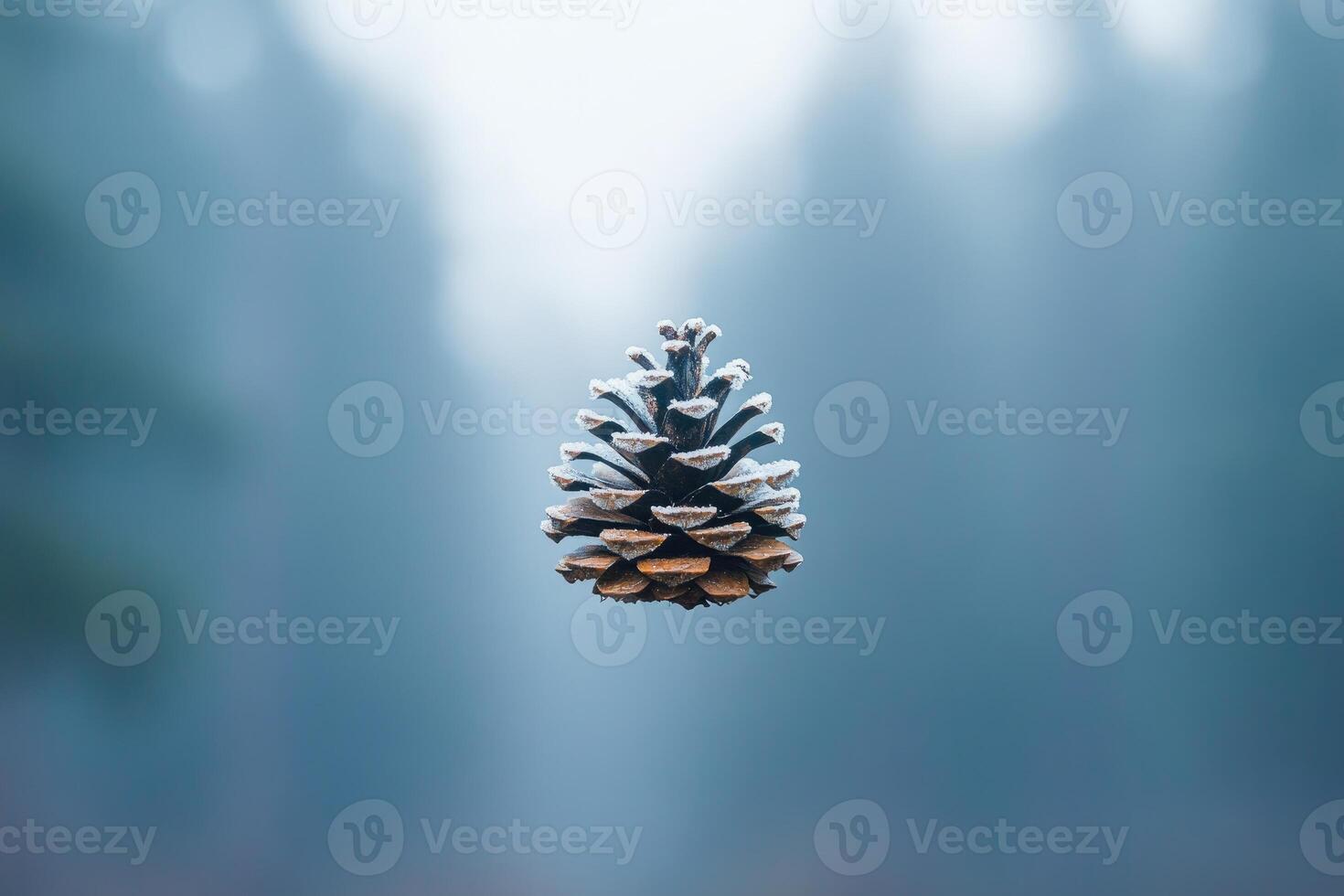 A Single Frosted Pine Cone Against a Blurry Blue Background photo