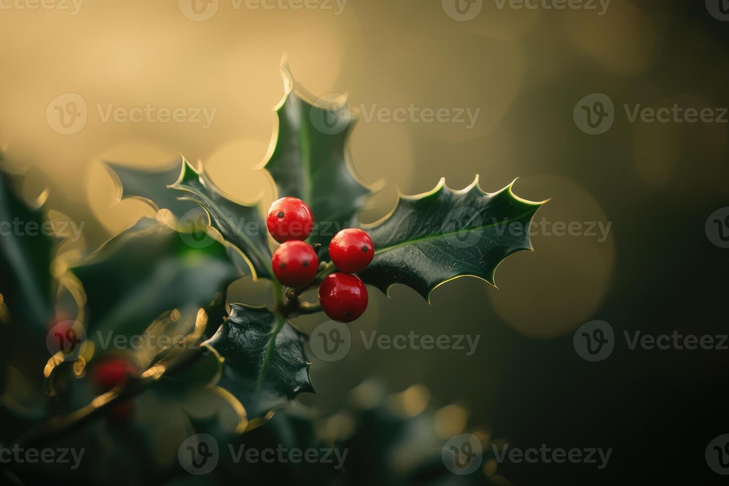 Red Holly Berries on a Branch with Green Leaves photo