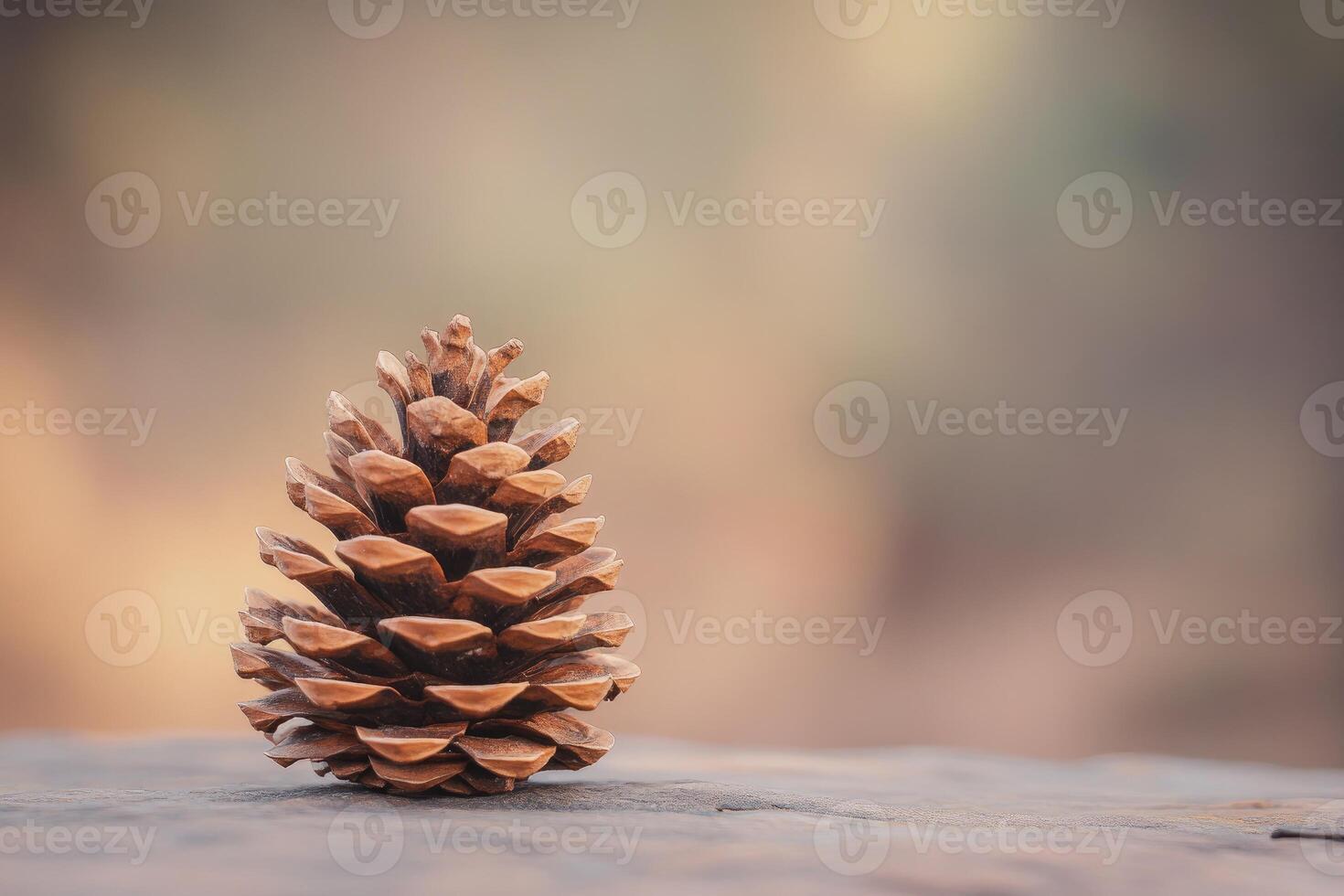 Single Pine Cone on a Brown Background photo