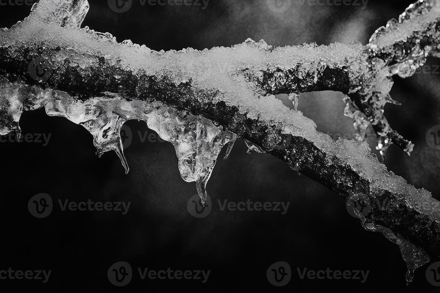 Icy Branch with Sharp, Crystal-Like Formations photo