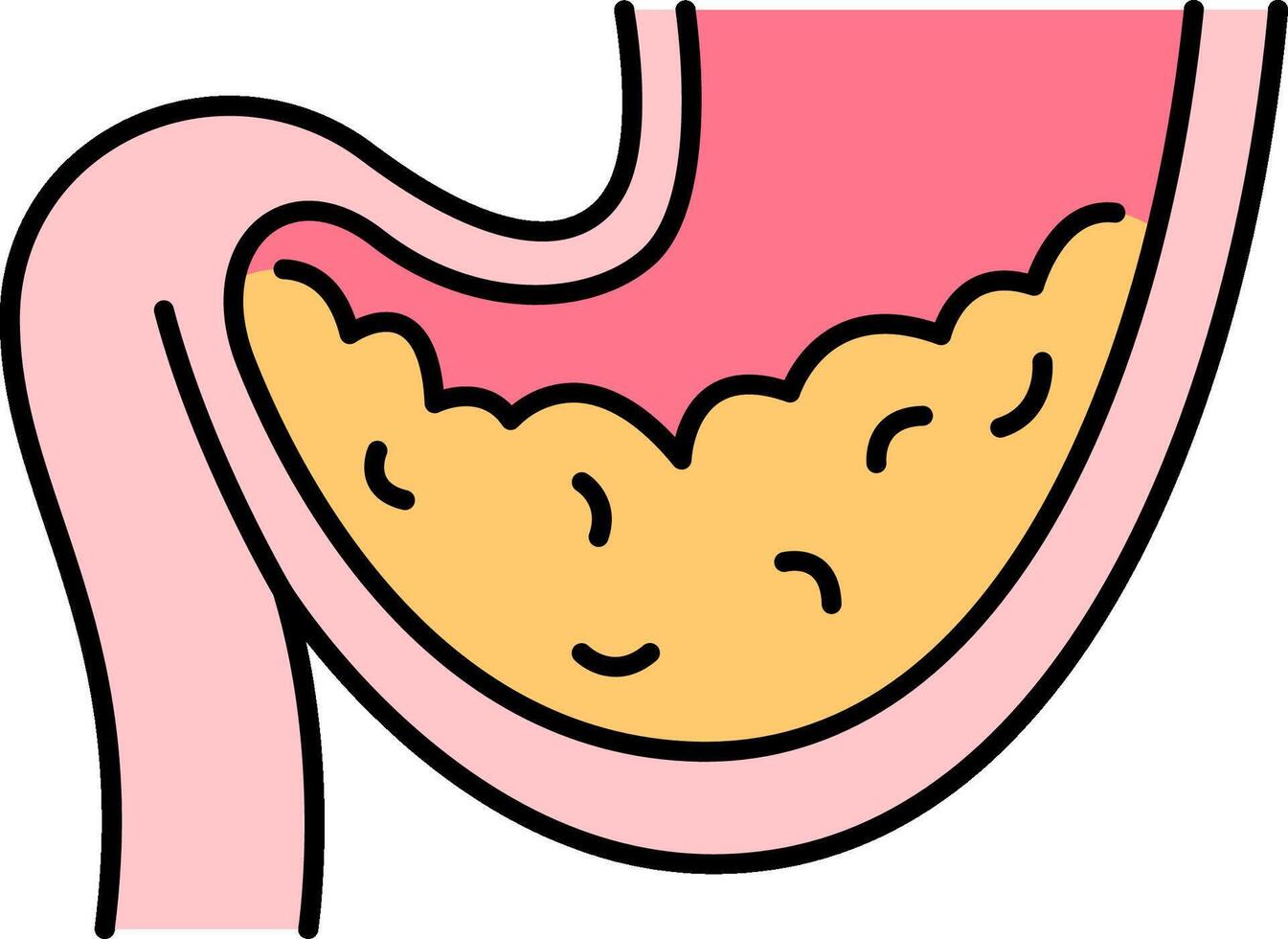 The stomach is shown with a small amount of food inside vector