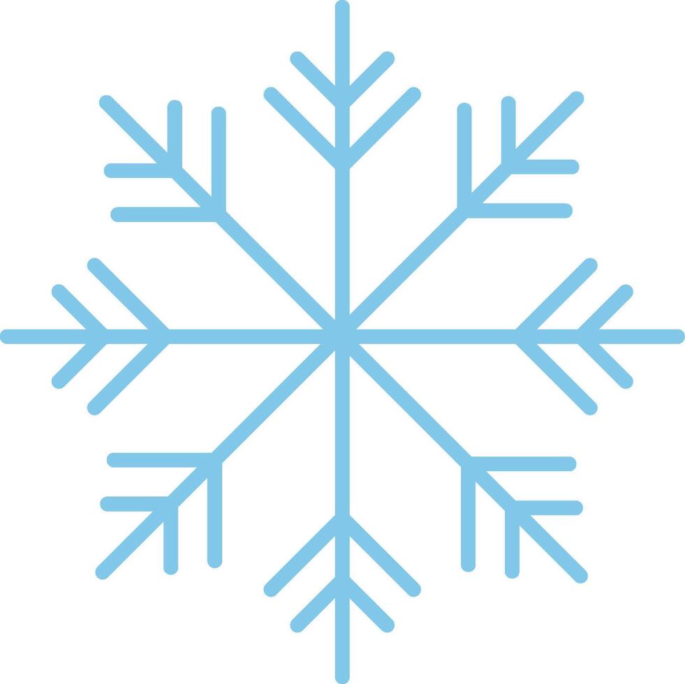 A snowflake is shown on a white background vector