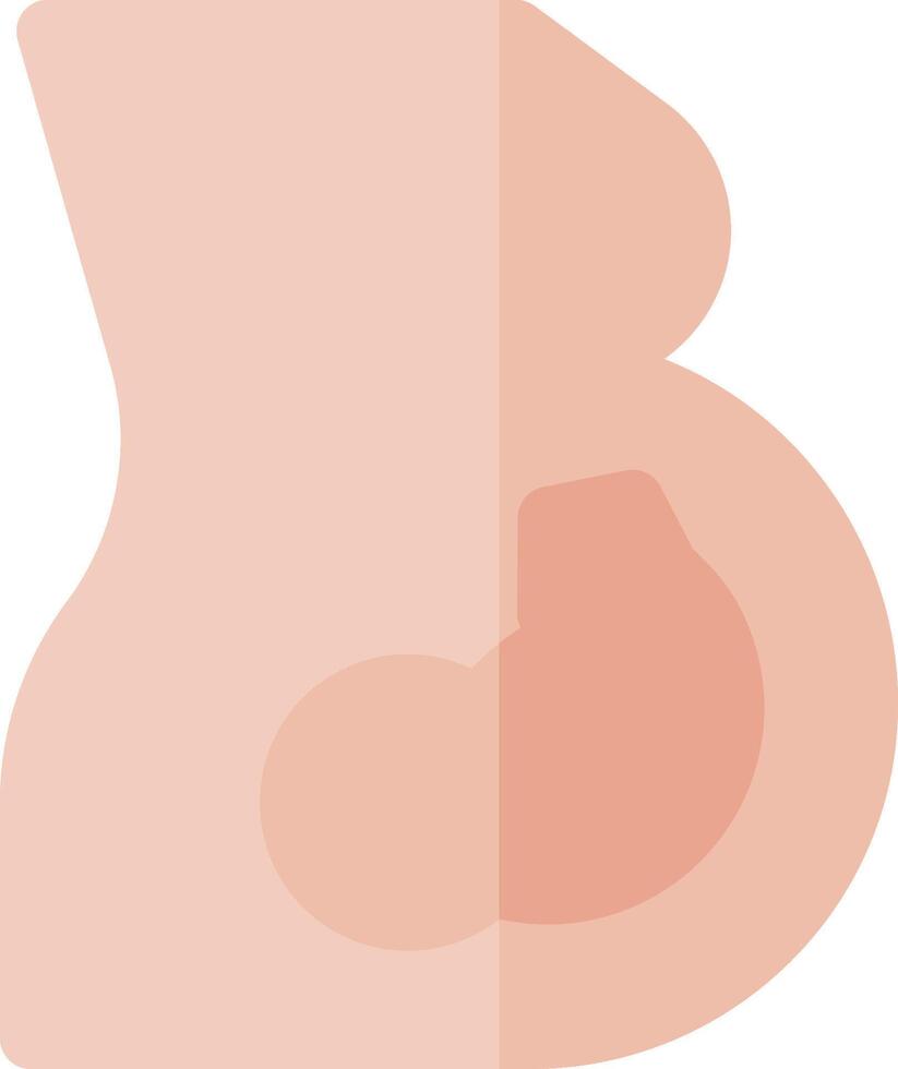 A pregnant woman is shown with a baby in her belly vector
