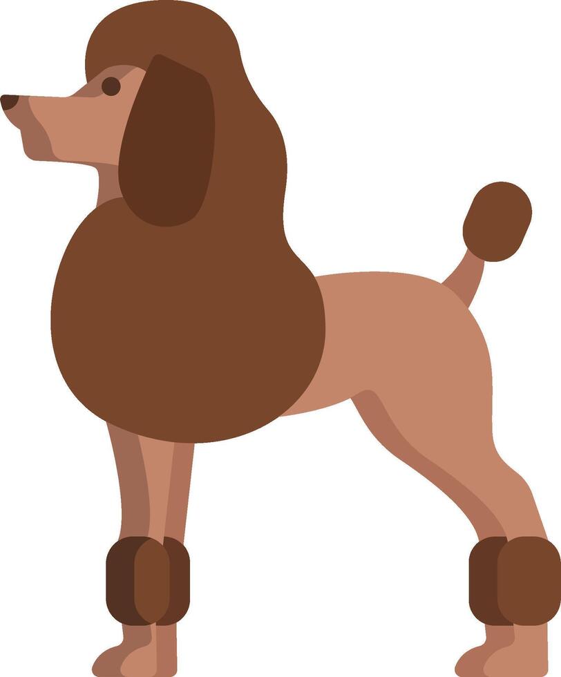 A poodle dog standing with its legs crossed vector