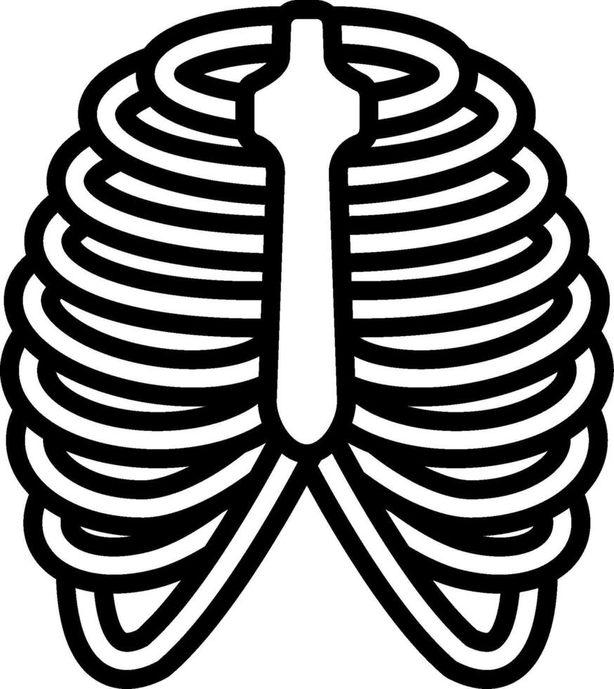 An outline of a human rib cage vector
