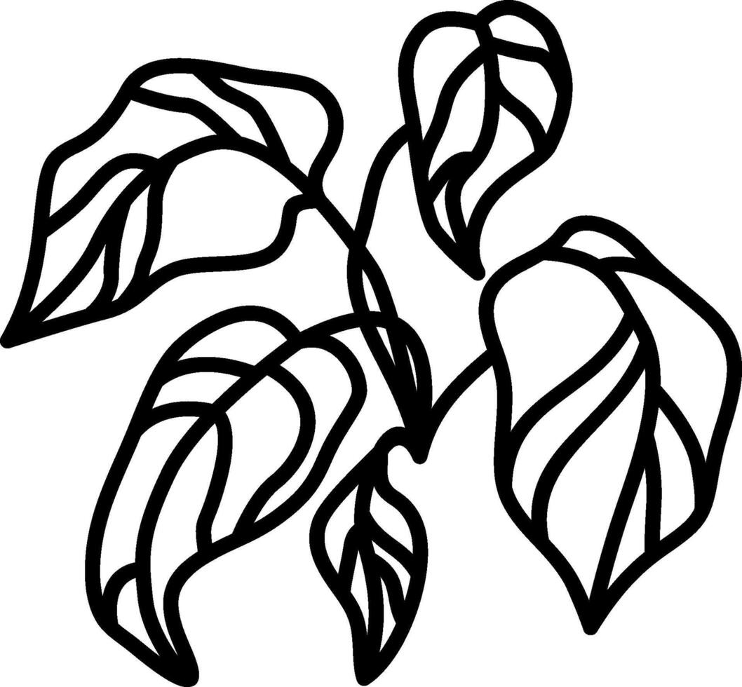 A black and white drawing of a plant with leaves vector