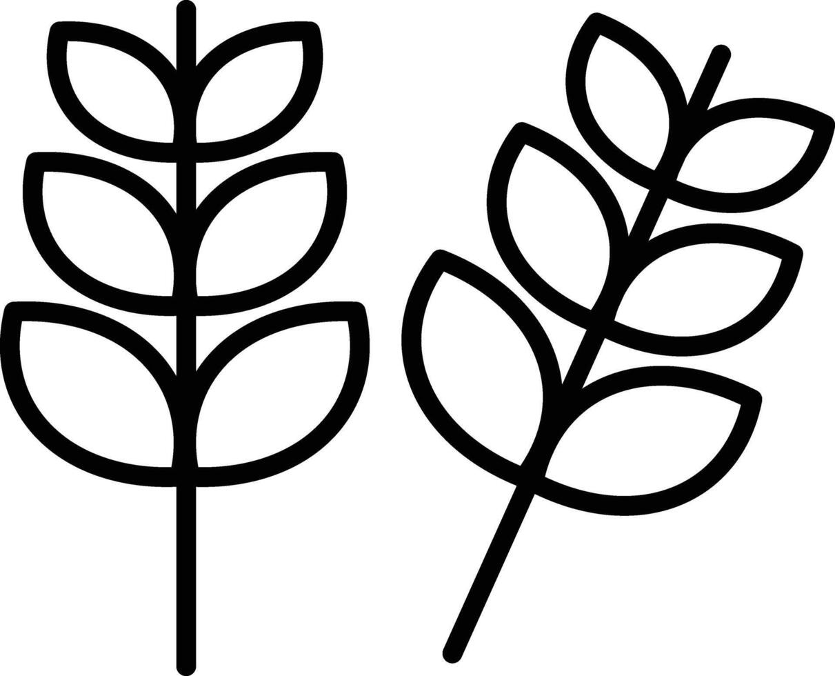 Two wheat plants with leaves on them vector
