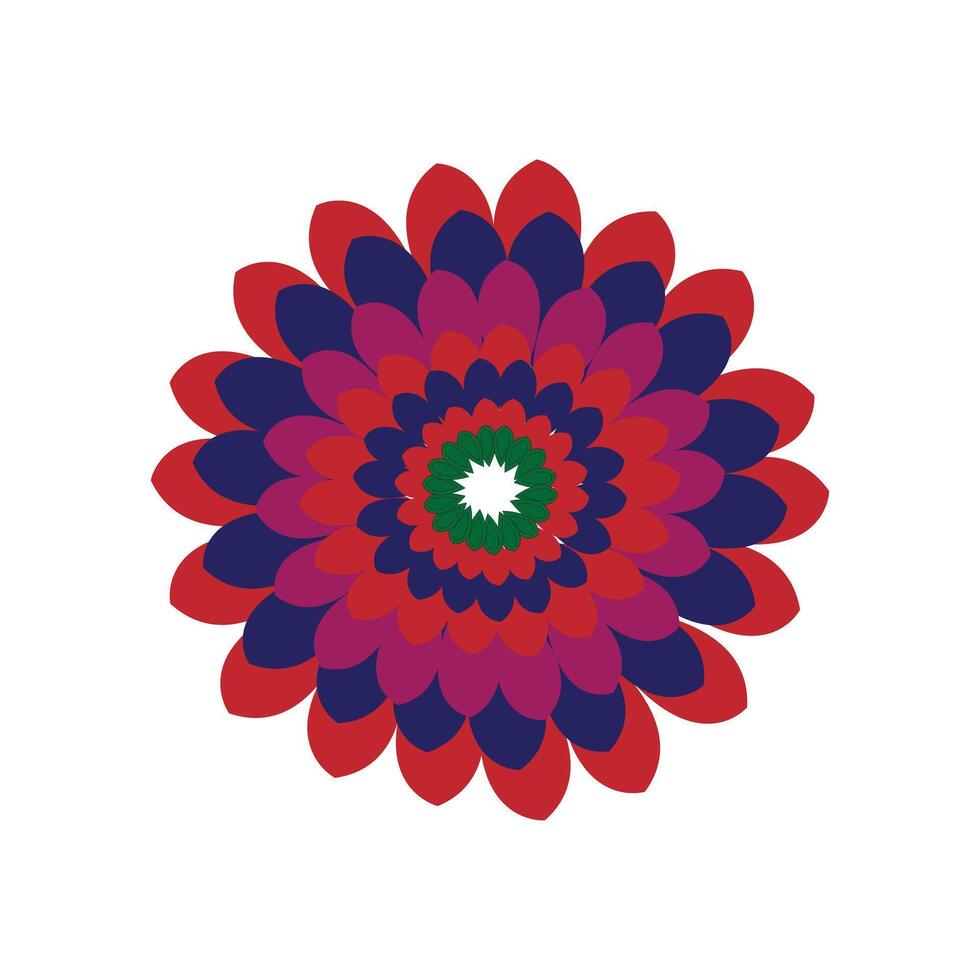 Vibrant Colorful Flower vector
