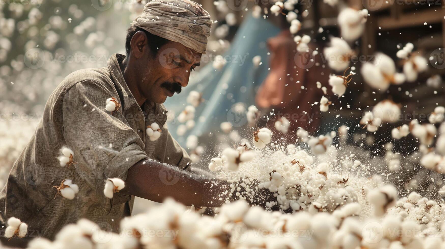 A man is picking cotton from a field photo