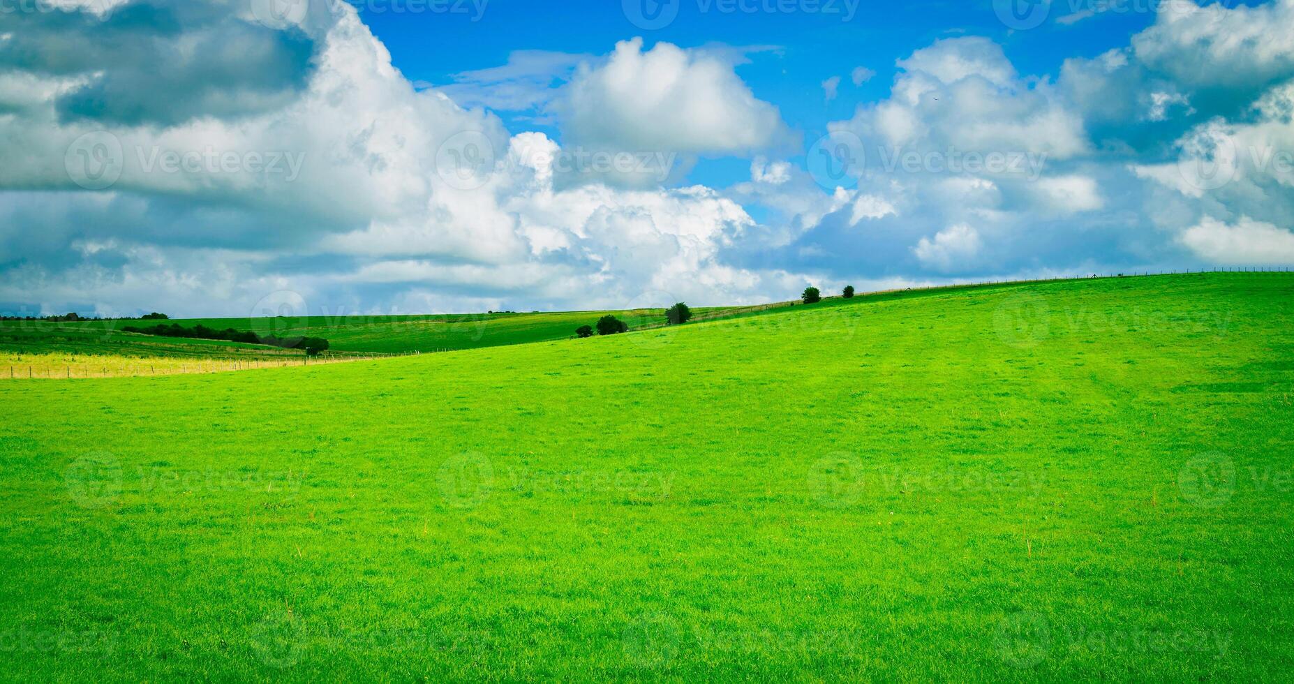 Green field and blue sky with cloud background photo