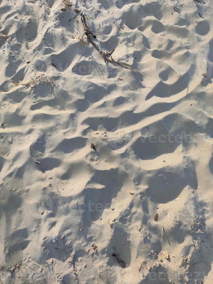 A sand dune with footprints in the sand photo