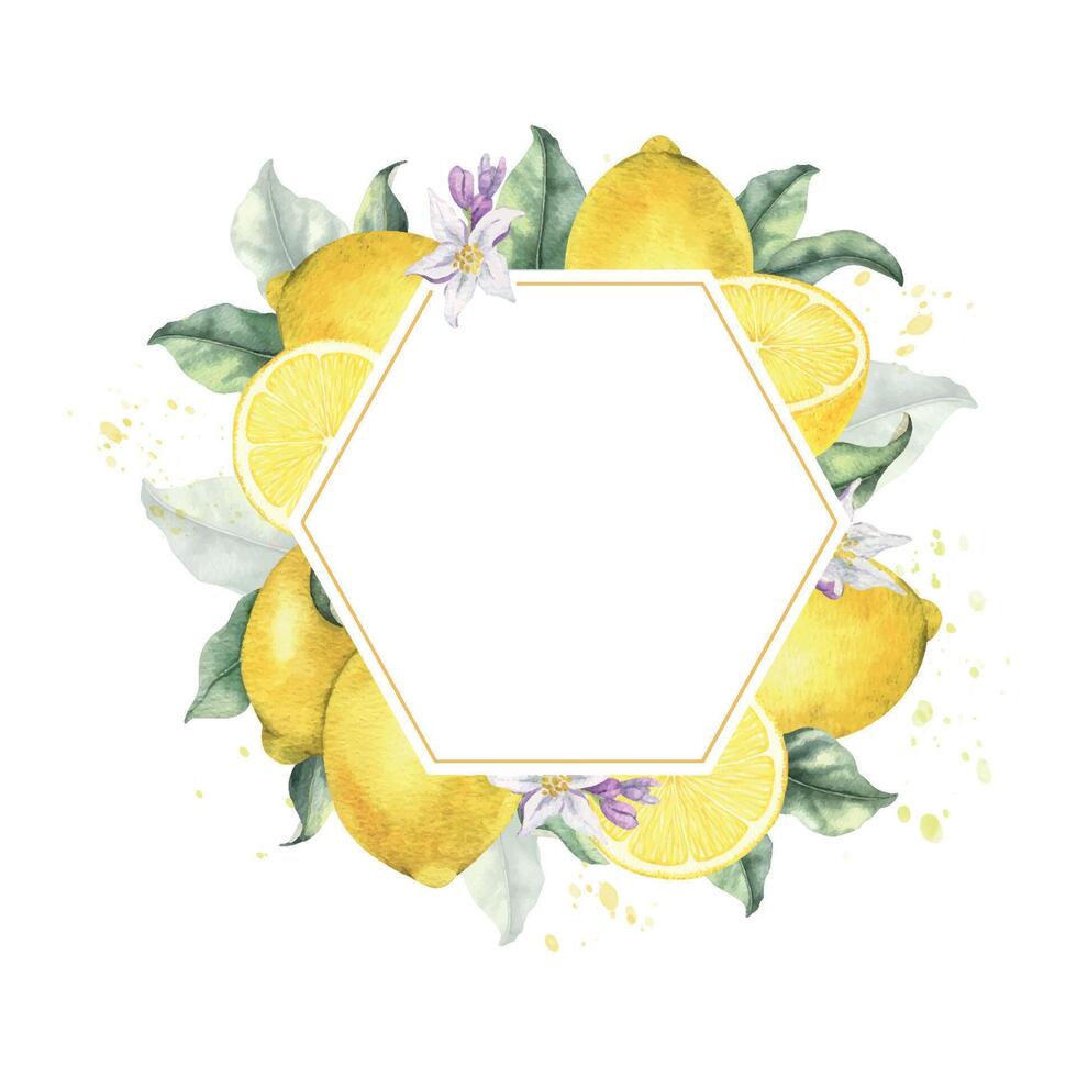 Lemon fruits, flowers and leaves. Isolated hand drawn watercolor frame. Wreath of Tropical citrus fruit. Template for menu, package, cosmetic, textile, cards vector