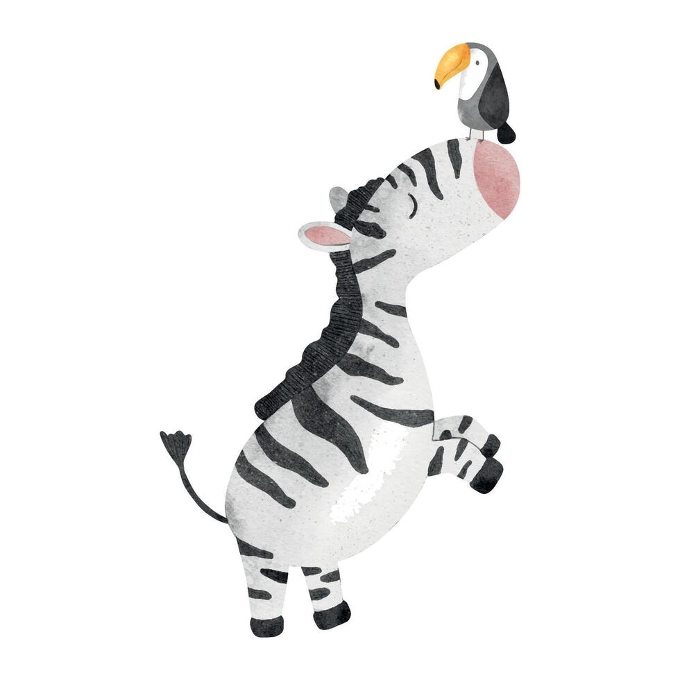 Small toucan sits on nose of zebra. African jungle animals. Isolated hand drawn watercolor illustration of kids zoo for design baby shower, cards, posters, kid's goods and rooms vector