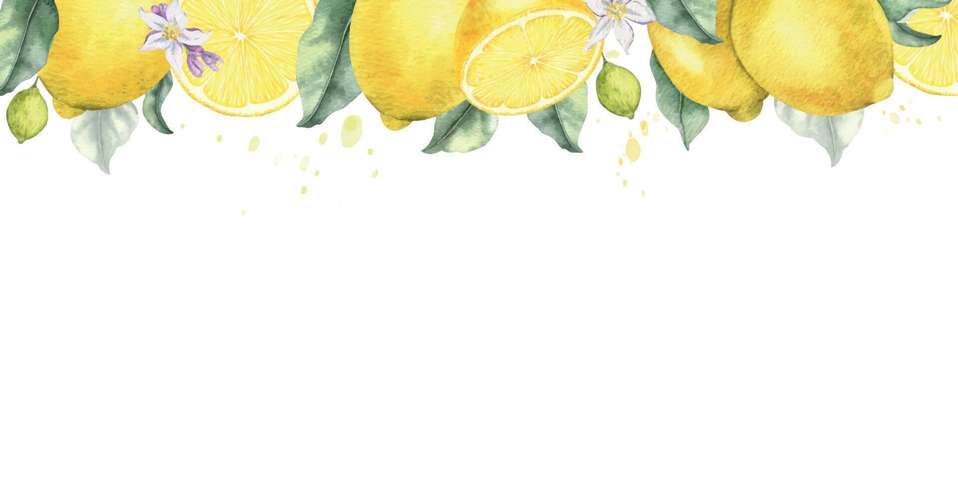 Lemon fruits, flowers and leaves. Isolated hand drawn watercolor frame. Border of Tropical citrus fruit. Template for menu, package, cosmetic, textile, cards vector
