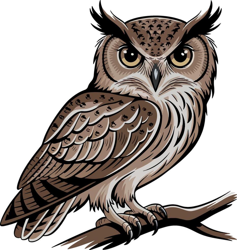 Eyes of the Night Exploring the Owl Bird vector