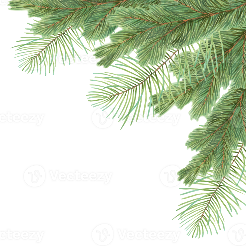 Square frame made of pine and spruce branches. Illustration with watercolor and marker. Christmas background with evergreen plant. Hand drawn isolated art. Nature template for the New Year with cedar png